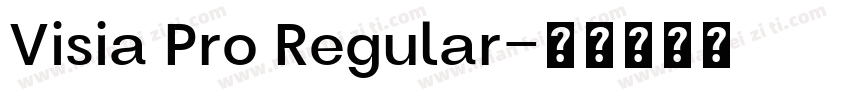Visia Pro Regular字体转换
